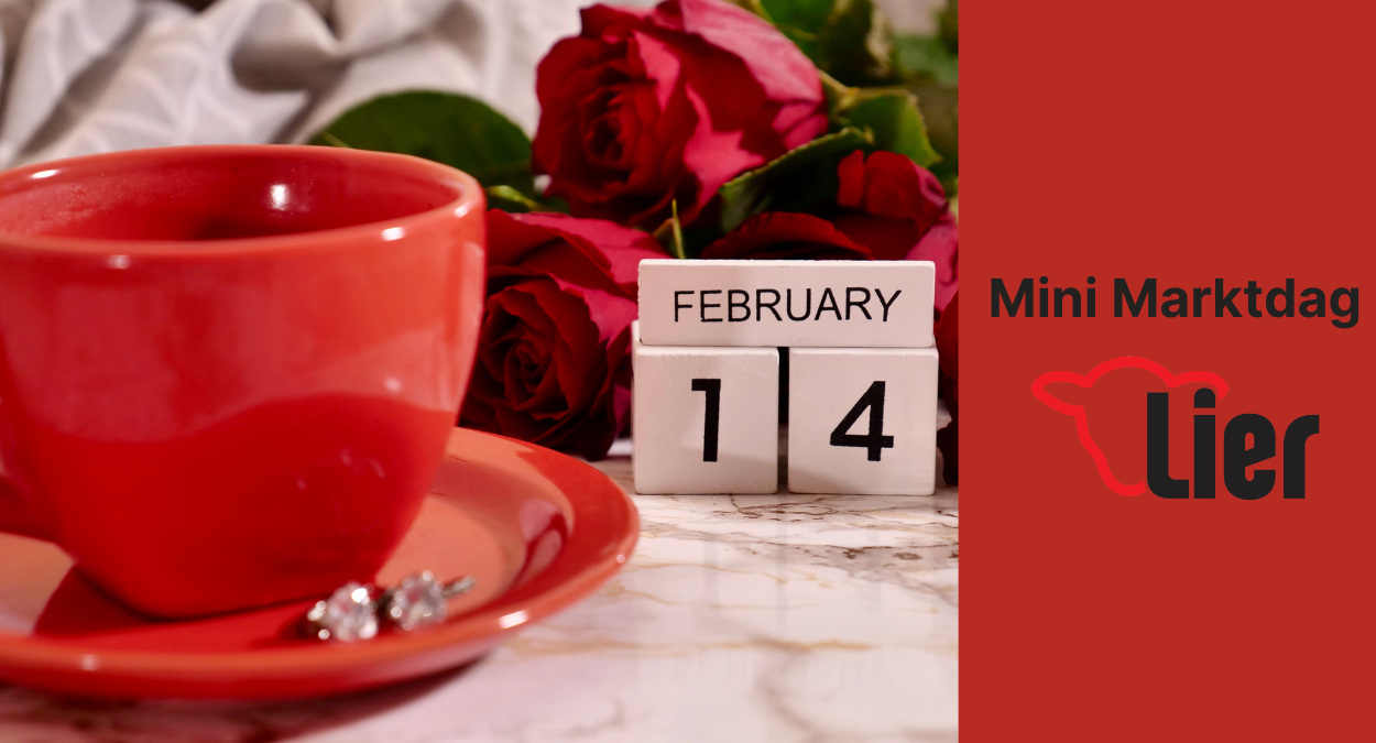 Mini Marktdag Lier