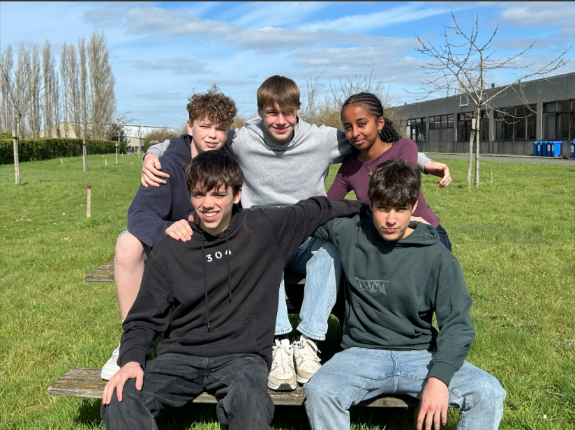 Team